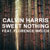 Calvin Harris featuring Florence Welch - Sweet Nothing
